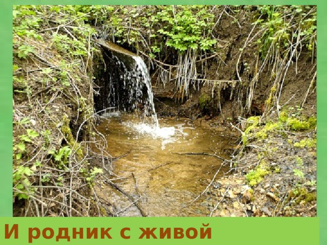 И родник с живой ключевой водой.