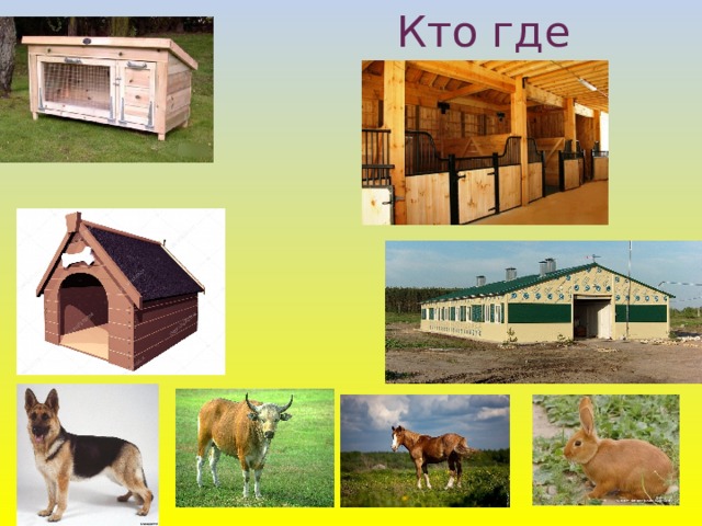 Кто где живет?