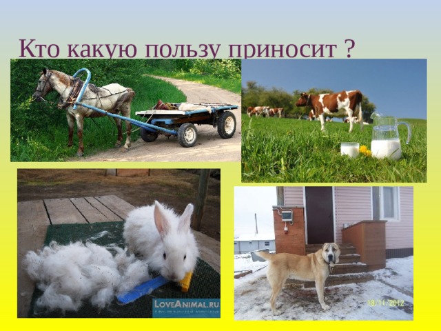 Кто какую пользу приносит ?