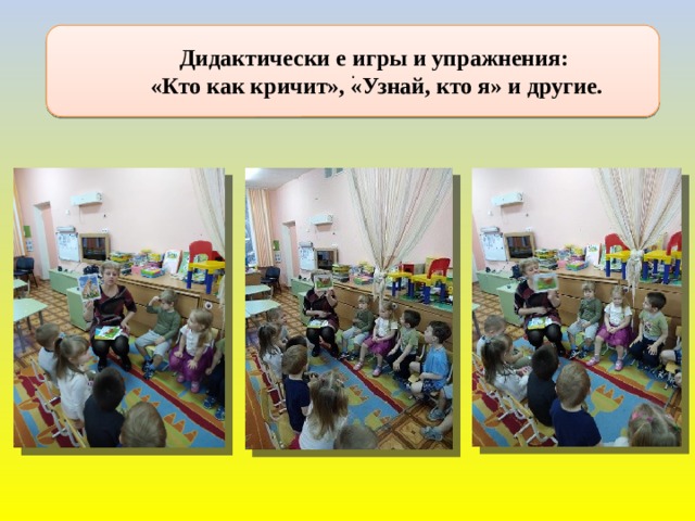 . Дидактически е игры и упражнения:  «Кто как кричит», «Узнай, кто я» и другие.