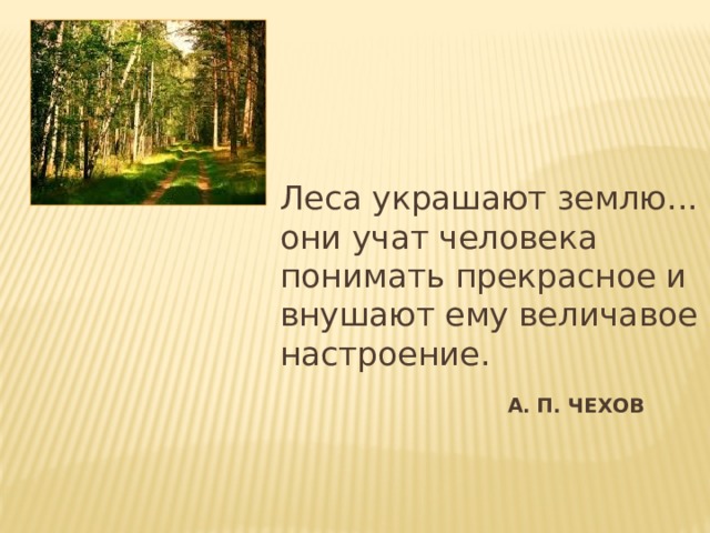 Леса украшают землю... они учат человека понимать прекрасное и внушают ему величавое настроение. А. П. Чехов