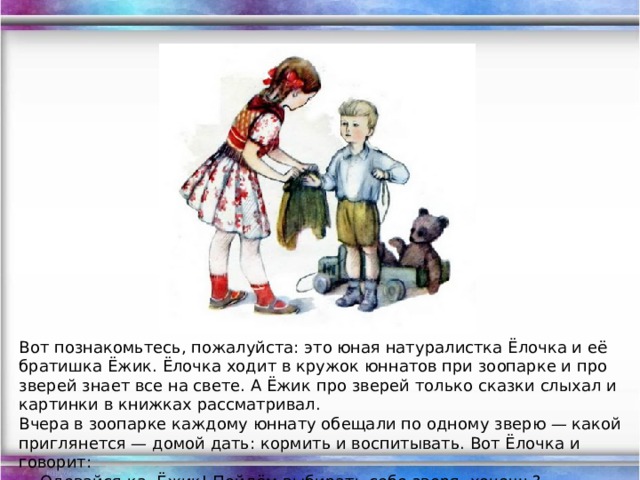 Вот познакомьтесь, пожалуйста: это юная натуралистка Ёлочка и её братишка Ёжик. Ёлочка ходит в кружок юннатов при зоопарке и про зверей знает все на свете. А Ёжик про зверей только сказки слыхал и картинки в книжках рассматривал. Вчера в зоопарке каждому юннату обещали по одному зверю — какой приглянется — домой дать: кормить и воспитывать. Вот Ёлочка и говорит:  — Одевайся-ка, Ёжик! Пойдём выбирать себе зверя, хочешь?  — Ого! — сказал Ёжик. И они побежали.