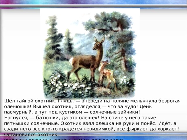 Шёл тайгой охотник. Глядь. — впереди на поляне мелькнула безрогая оленюшка! Вышел охотник, огляделся,— что за чудо! День пасмурный, а тут под кустиком — солнечные зайчики! Нагнулся, — батюшки, да это олешек! На спине у него такие пятнышки солнечные. Охотник взял олешка на руки и понёс. Идёт, а сзади него все кто-то крадётся невидимкой, все фыркает да хоркает! Остановился охотник,  привязал олешка к дереву, сам на другое залез. 