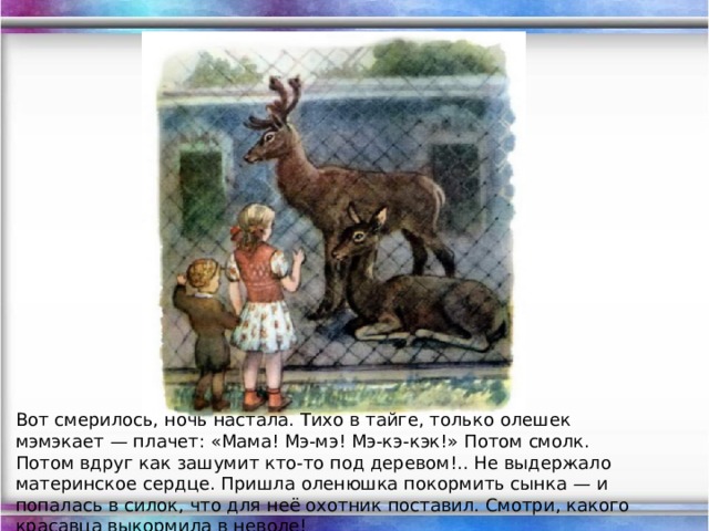 Вот смерилось, ночь настала. Тихо в тайге, только олешек  мэмэкает — плачет: «Мама! Мэ-мэ! Мэ-кэ-кэк!» Потом смолк. Потом вдруг как зашумит кто-то под деревом!.. Не выдержало материнское сердце. Пришла оленюшка покормить сынка — и попалась в силок, что для неё охотник поставил. Смотри, какого красавца выкормила в неволе!