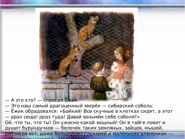 — А это кто? — спросил Ёжик.  — Это наш самый драгоценный зверёк — сибирский соболь. — Ёжик обрадовался: «Бойкий! Все скучные в клетках сидят, а этот — рраз сюда! рраз туда! Давай возьмём себе соболя?»  Ой, что ты, что ты! Он ужасно какой хищный! Он в тайге ловит и душит бурундучков — белочек таких земляных, зайцев, мышей, рябчиков ест, даже большущих глухарей и маленьких олененкон — кабарожек насмерть загрызает!