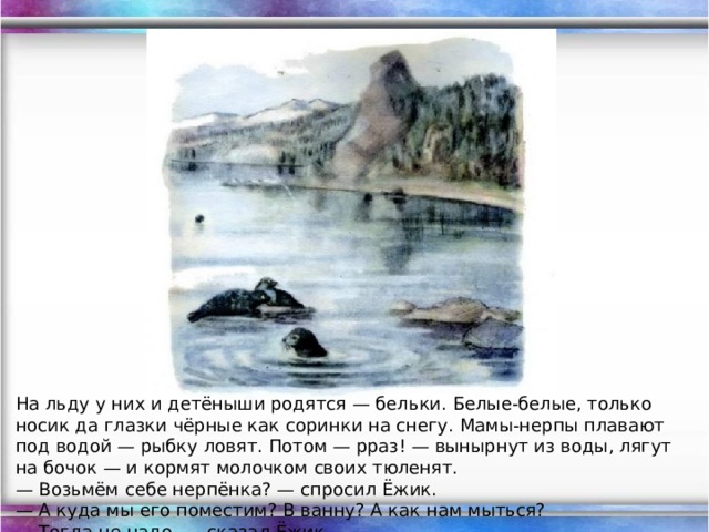 На льду у них и детёныши родятся — бельки. Белые-белые, только носик да глазки чёрные как соринки на снегу. Мамы-нерпы плавают под водой — рыбку ловят. Потом — рраз! — вынырнут из воды, лягут на бочок — и кормят молочком своих тюленят. — Возьмём себе нерпёнка? — спросил Ёжик.  — А куда мы его поместим? В ванну? А как нам мыться?  — Тогда не надо, — сказал Ёжик.