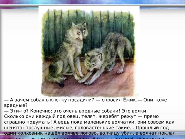 — А зачем собак в клетку посадили? — спросил Ёжик.— Они тоже вредные? — Эти-то? Конечно; это очень вредные собаки! Это волки. Сколько они каждый год овец, телят, жеребят режут — прямо страшно подумать! А ведь пока маленькие волчатки, они совсем как щенята: послушные, милые, головастенькие такие… Прошлый год один колхозник нашёл волчье логово, волчицу убил, а волчат поклал в мешок — и нам в зоопарк привёз. У нас на детской площадке и выросли вместе с лисятами, олешками, козлятками.