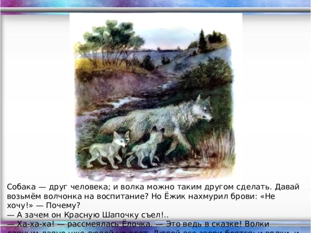 Собака — друг человека; и волка можно таким другом сделать. Давай возьмём волчонка на воспитание? Но Ёжик нахмурил брови: «Не хочу!» — Почему?  — А зачем он Красную Шапочку съел!.. — Ха-ха-ха! — рассмеялась Ёлочка. — Это ведь в сказке! Волки давным-давно уже людей не едят. Людей все звери боятся: и волки, и тигры, и слоны!