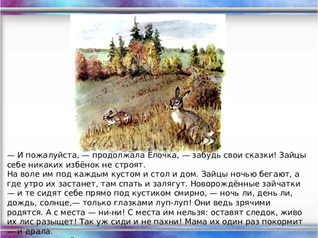 — И пожалуйста, — продолжала Ёлочка, — забудь свои сказки! Зайцы себе никаких избёнок не строят. На воле им под каждым кустом и стол и дом. Зайцы ночью бегают, а где утро их застанет, там спать и залягут. Новорождённые зайчатки — и те сидят себе прямо под кустиком смирно, — ночь ли, день ли, дождь, солнце,— только глазками луп-луп! Они ведь зрячими родятся. А с места — ни-ни! С места им нельзя: оставят следок, живо их лис разыщет! Так уж сиди и не пахни! Мама их один раз покормит — и драла. А молочко у неё такое жирное, такое густое, что как накормит им зайчат, так они потом три дня сыты. 