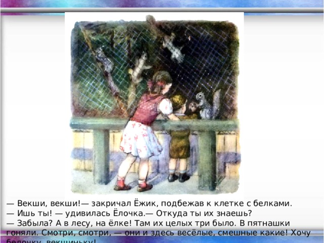 — Векши, векши!— закричал Ёжик, подбежав к клетке с белками. — Ишь ты! — удивилась Ёлочка.— Откуда ты их знаешь?  — Забыла? А в лесу, на ёлке! Там их целых три было. В пятнашки гоняли. Смотри, смотри, — они и здесь весёлые, смешные какие! Хочу белочку, векшиньку!