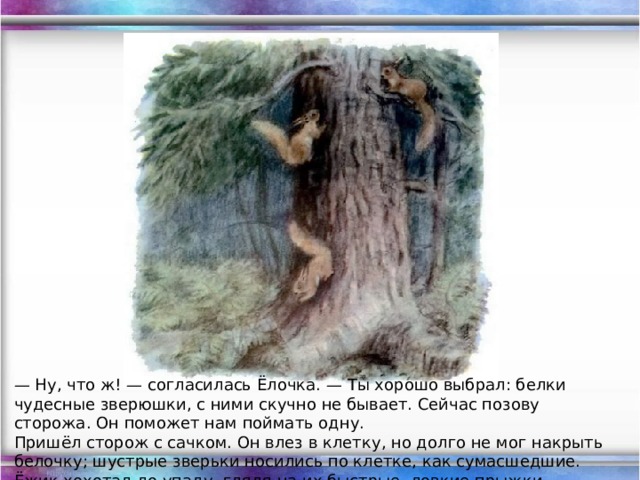 — Ну, что ж! — согласилась Ёлочка. — Ты хорошо выбрал: белки чудесные зверюшки, с ними скучно не бывает. Сейчас позову сторожа. Он поможет нам поймать одну. Пришёл сторож с сачком. Он влез в клетку, но долго не мог накрыть белочку; шустрые зверьки носились по клетке, как сумасшедшие. Ёжик хохотал до упаду, глядя на их быстрые, ловкие прыжки.