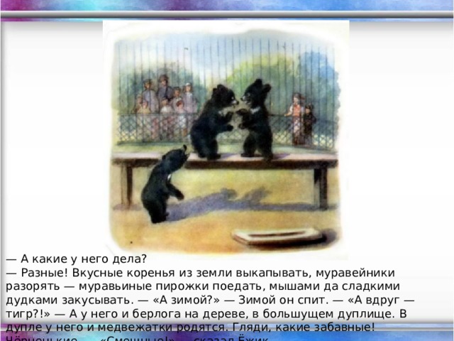 — А какие у него дела?  — Разные! Вкусные коренья из земли выкапывать, муравейники разорять — муравьиные пирожки поедать, мышами да сладкими дудками закусывать. — «А зимой?» — Зимой он спит. — «А вдруг — тигр?!» — А у него и берлога на дереве, в большущем дуплище. В дупле у него и медвежатки родятся. Гляди, какие забавные! Чёрненькие. — «Смешные!» — сказал Ёжик.