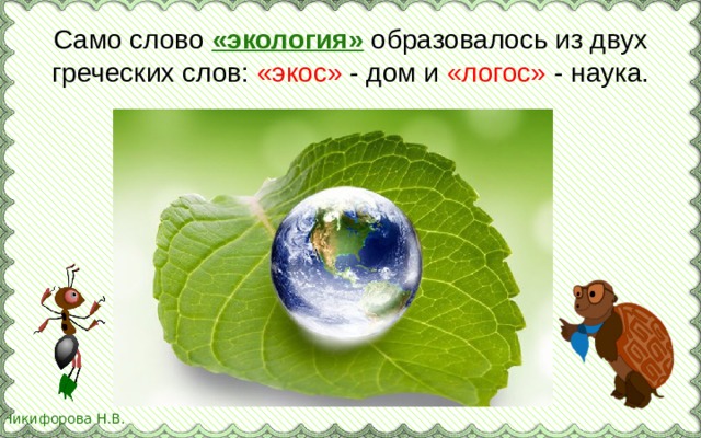 Само слово «экология» образовалось из двух греческих слов: «экос» - дом и «логос» - наука.