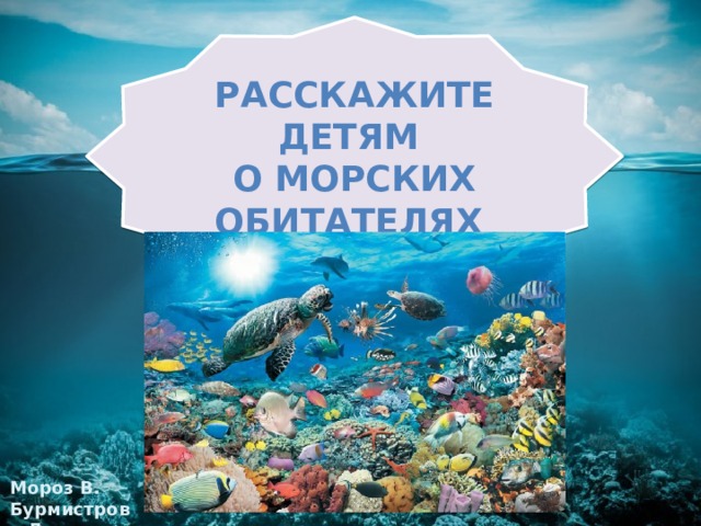 Расскажите детям о морских обитателях Мороз В. Бурмистрова Л.