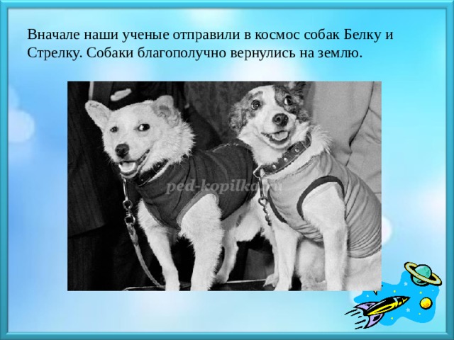 Вначале наши ученые отправили в космос собак Белку и Стрелку. Собаки благополучно вернулись на землю. 