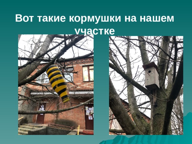 Вот такие кормушки на нашем участке