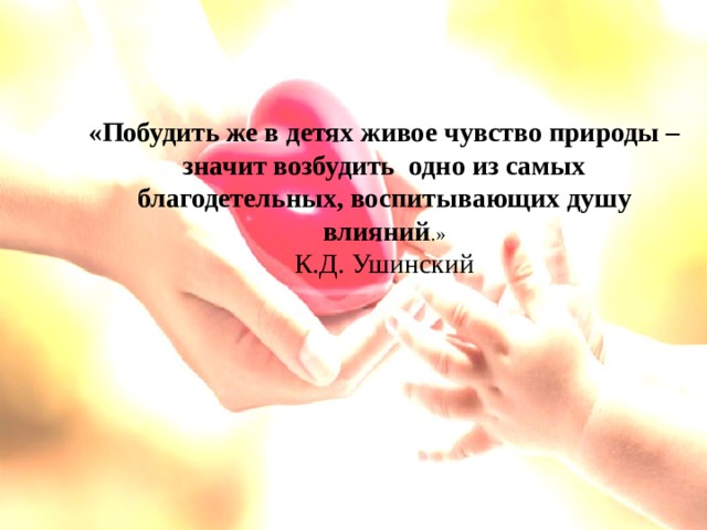 «Побудить же в детях живое чувство природы – значит возбудить одно из самых благодетельных, воспитывающих душу влияний .»  К.Д. Ушинский