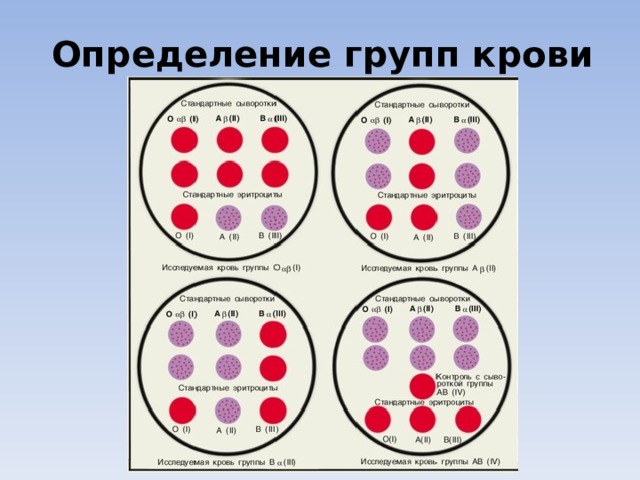 Определение группы крови на планшете картинки с описанием