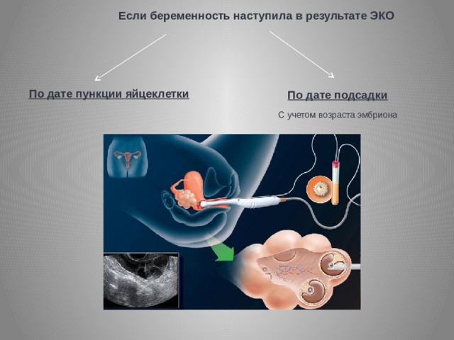 Если беременность наступила в результате ЭКО По дате пункции яйцеклетки По дате подсадки С учетом возраста эмбриона