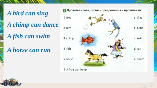 A bird can sing A chimp can dance A fish can swim A horse can run