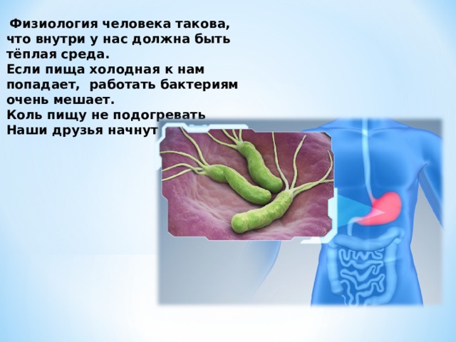 Физиология человека такова, что внутри у нас должна быть тёплая среда. Если пища холодная к нам попадает, работать бактериям очень мешает. Коль пищу не подогревать Наши друзья начнут погибать!