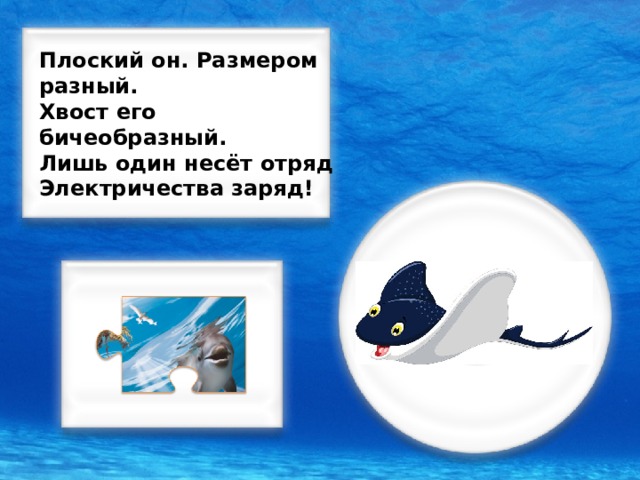 Плоский он. Размером разный. Хвост его бичеобразный. Лишь один несёт отряд Электричества заряд!