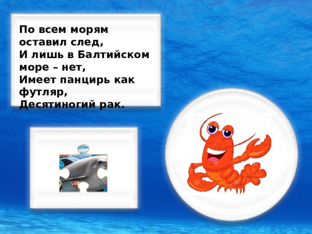 По всем морям оставил след, И лишь в Балтийском море – нет, Имеет панцирь как футляр, Десятиногий рак.