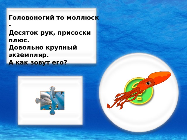 Головоногий то моллюск - Десяток рук, присоски плюс. Довольно крупный экземпляр. А как зовут его?