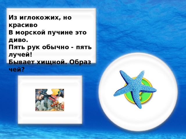 Из иглокожих, но красиво В морской пучине это диво. Пять рук обычно - пять лучей! Бывает хищной. Образ чей?