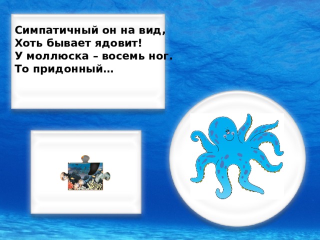 Симпатичный он на вид, Хоть бывает ядовит! У моллюска – восемь ног. То придонный…