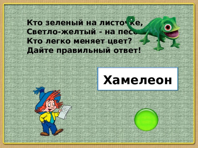 Кто зеленый на листочке, Светло-желтый - на песочке? Кто легко меняет цвет? Дайте правильный ответ! Хамелеон