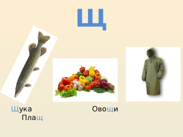 Щ Щ ука Ово щ и Пла щ