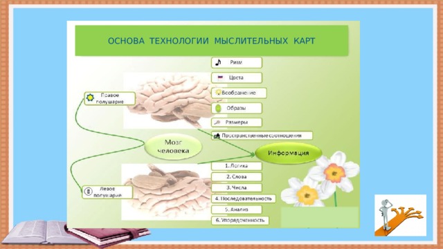 ОСНОВА ТЕХНОЛОГИИ МЫСЛИТЕЛЬНЫХ КАРТ