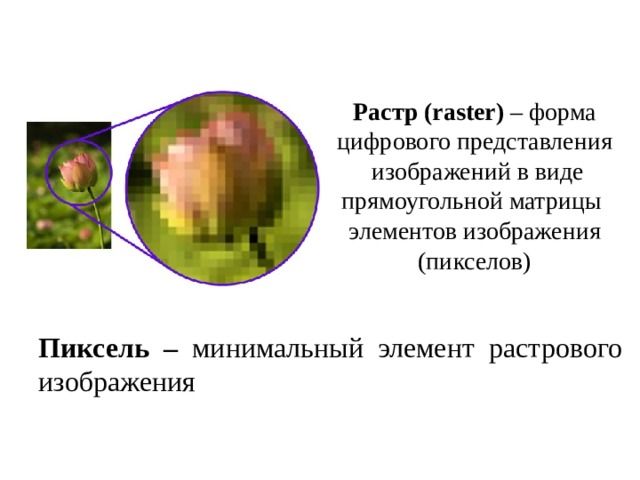 Растр (raster) – форма цифрового представления  изображений в виде прямоугольной матрицы элементов изображения (пикселов) Пиксель – минимальный элемент растрового изображения