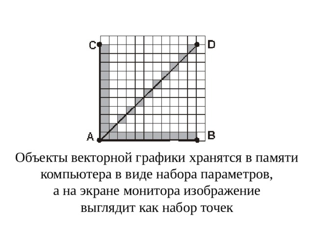 Объекты векторной графики хранятся в памяти компьютера в виде набора параметров,  а на экране монитора изображение выглядит как набор точек