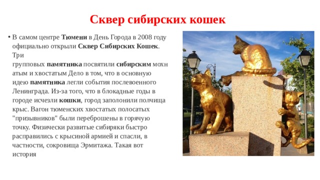 Сквер сибирских кошек