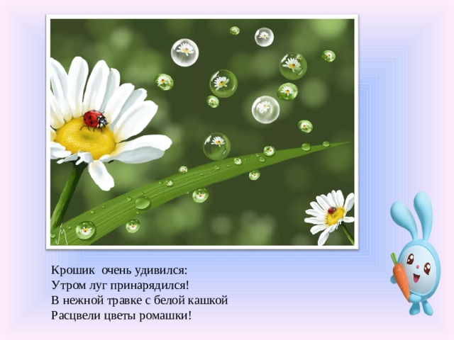 Крошик очень удивился: Утром луг принарядился! В нежной травке с белой кашкой Расцвели цветы ромашки!