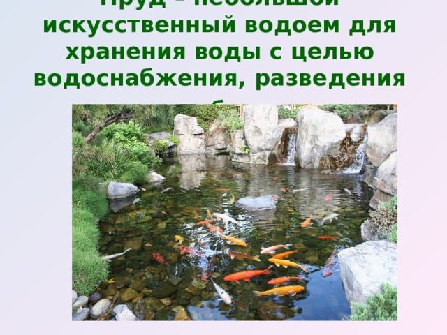 Пруд – небольшой искусственный водоем для хранения воды с целью водоснабжения, разведения рыбы.  