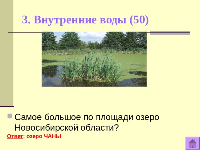 3. Внутренние воды (50)   Самое большое по площади озеро Новосибирской области? Ответ : озеро ЧАНЫ