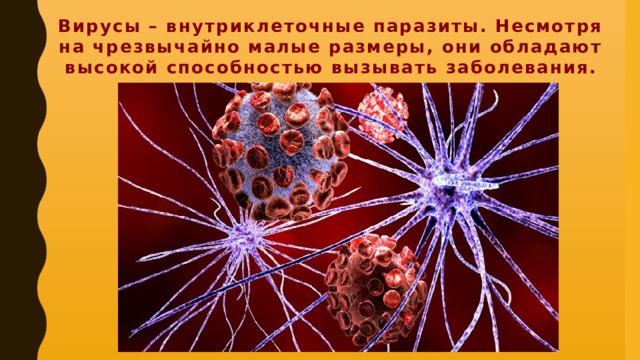 Вирусы – внутриклеточные паразиты. Несмотря на чрезвычайно малые размеры, они обладают высокой способностью вызывать заболевания.