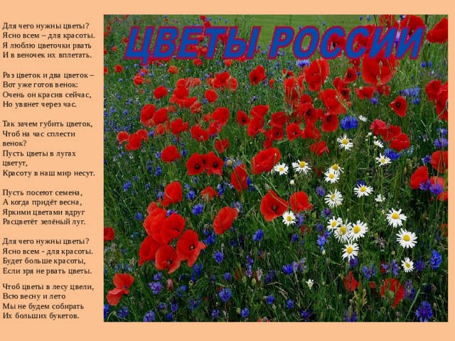 Для чего нужны цветы?  Ясно всем – для красоты.  Я люблю цветочки рвать  И в веночек их вплетать.   Раз цветок и два цветок –  Вот уже готов венок:  Очень он красив сейчас,  Но увянет через час.   Так зачем губить цветок,  Чтоб на час сплести венок?  Пусть цветы в лугах цветут,  Красоту в наш мир несут.   Пусть посеют семена,  А когда придёт весна,  Яркими цветами вдруг  Расцветёт зелёный луг.   Для чего нужны цветы?  Ясно всем - для красоты.  Будет больше красоты,  Если зря не рвать цветы. Чтоб цветы в лесу цвели,  Всю весну и лето  Мы не будем собирать  Их больших букетов.