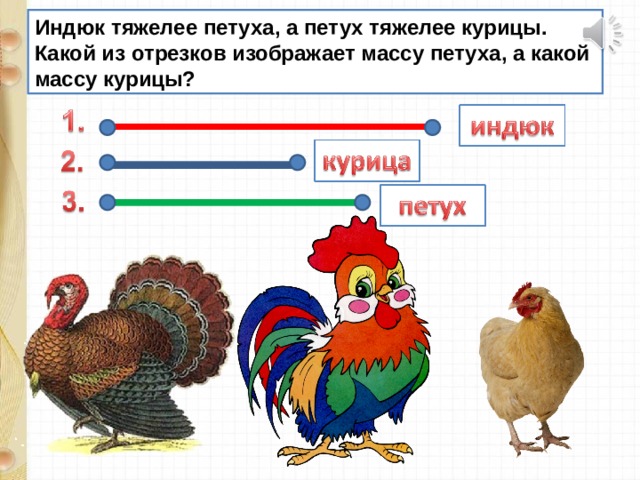 Индюк тяжелее петуха, а петух тяжелее курицы. Какой из отрезков изображает массу петуха, а какой массу курицы?