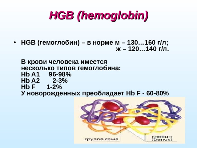 HGB (hemoglobin)