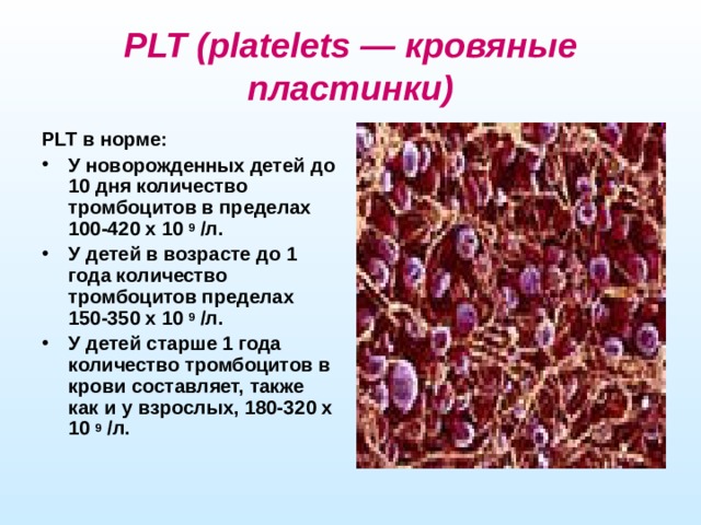 PLT (platelets — кровяные пластинки) PLT в норме: