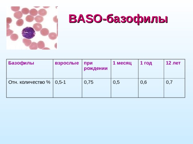 BASO-базофилы Базофилы взрослые Отн. количество % 0,5-1 при рождении 1 месяц 0,75 0,5 1 год 12 лет 0,6 0,7