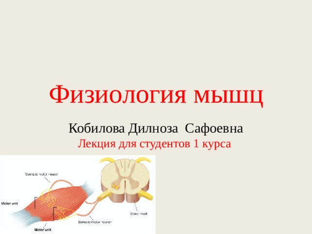Физиология мышц     Кобилова Дилноза Сафоевна  Лекция для студентов 1 курса