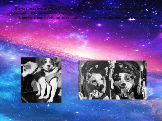 Через 3 года после неудачного полета собаки Лайки, в космос отправляются уже две собаки – Белка и Стрелка.  В космосе они пробыли всего один день и удачно приземлились на Землю.