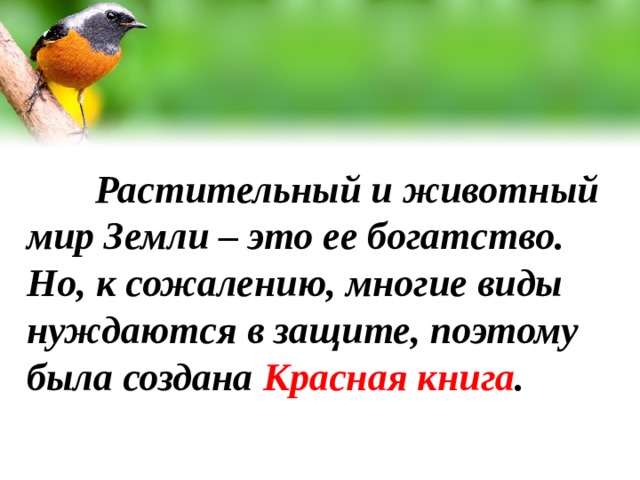 Растительный и животный мир Земли – это ее богатство. Но, к сожалению, многие виды нуждаются в защите, поэтому была создана Красная книга .