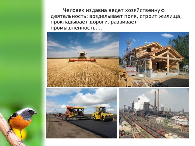 Человек издавна ведет хозяйственную деятельность: возделывает поля, строит жилища, прокладывает дороги, развивает промышленность….