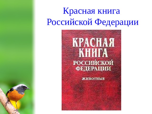 Красная книга Российской Федерации